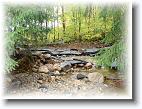 Locust Washout 17 * 2592 x 1944 * (2.42MB)